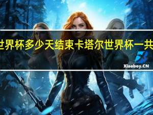 世界杯多少天结束 卡塔尔世界杯一共多少天