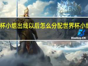 世界杯小组出线以后怎么分配 世界杯小组赛对阵表