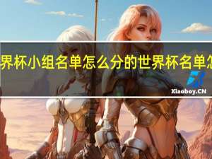 世界杯小组名单怎么分的 世界杯名单怎么确定
