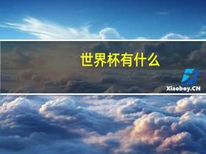 世界杯有什么