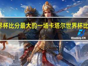 世界杯比分最大的一场 卡塔尔世界杯比分表全图