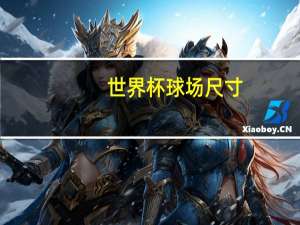 世界杯球场尺寸