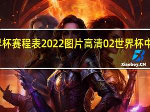 世界杯赛程表2022图片高清 02世界杯中国队分组