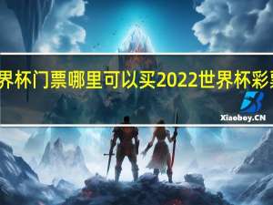 世界杯门票哪里可以买 2022世界杯彩票怎么买