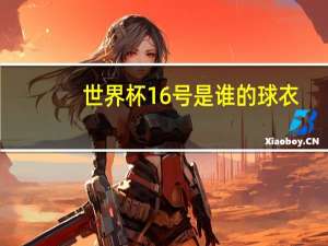 世界杯16号是谁的球衣（2014世界杯世界杯弗兰球衣几号）