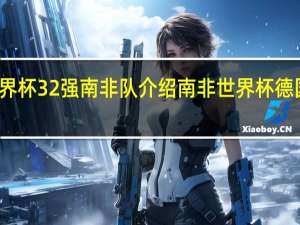世界杯32强南非队介绍 南非世界杯德国大名单