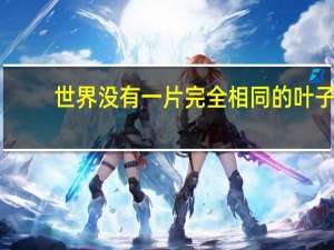 世界没有一片完全相同的叶子（谁说的世界上没有两片相同的叶子）