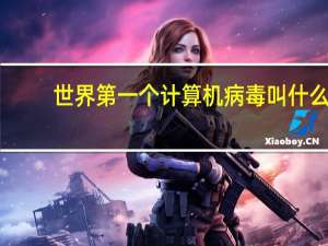 世界第一个计算机病毒叫什么（世界第一个计算机病毒是什么）
