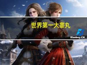 世界第一大睾丸