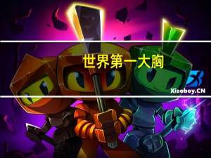 世界第一大胸