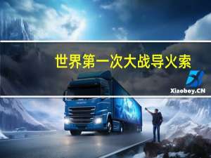 世界第一次大战导火索