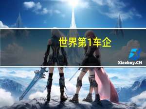世界第1车企
