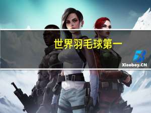 世界羽毛球第一