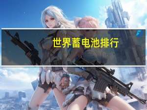 世界蓄电池排行