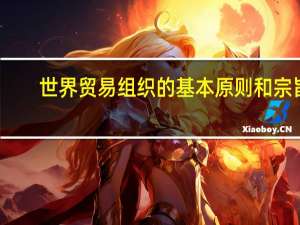 世界贸易组织的基本原则和宗旨