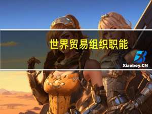 世界贸易组织职能