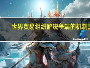世界贸易组织解决争端的机制是