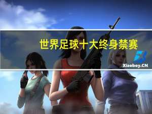 世界足球十大终身禁赛