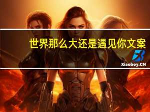 世界那么大还是遇见你文案