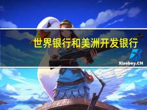世界银行和美洲开发银行：将促进在保护亚马逊雨林、增强加勒比地区抗灾能力和改善数字接入方面的合作