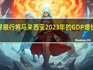 世界银行将马来西亚2023年的GDP增长预测从4.3%下调至3.9%