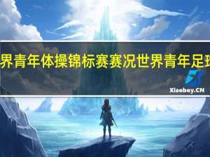 世界青年体操锦标赛赛况 世界青年足球锦标赛