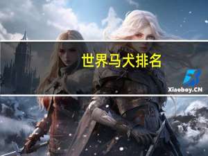 世界马犬排名