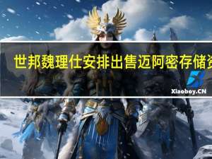 世邦魏理仕安排出售迈阿密存储资产