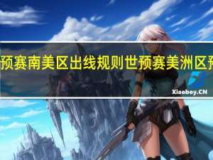世预赛南美区出线规则 世预赛美洲区预选赛程