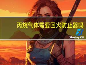 丙烷气体需要回火防止器吗