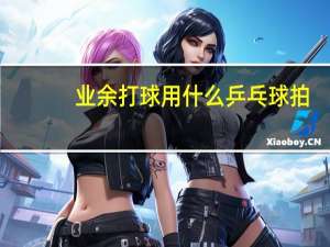 业余打球用什么乒乓球拍