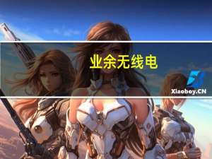 业余无线电（业余）