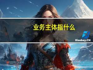 业务主体指什么