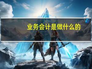 业务会计是做什么的