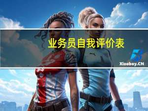 业务员自我评价表