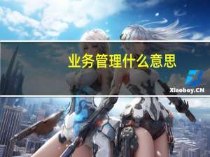 业务管理什么意思