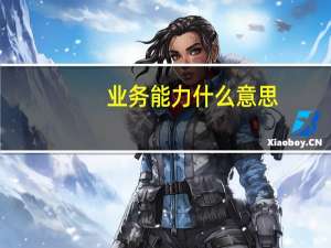 业务能力什么意思