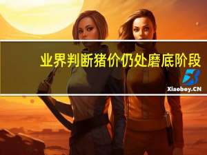 业界判断猪价仍处磨底阶段