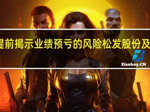 业绩预告不及时且未向市场提前揭示业绩预亏的风险松发股份及时任财务总监等遭上交所监管警示