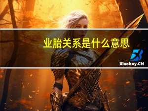 业胎关系是什么意思