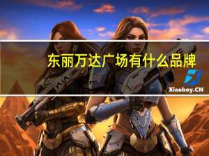 东丽万达广场有什么品牌