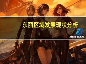 东丽区域发展现状分析