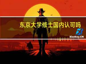 东京大学修士国内认可吗