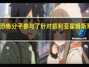 东伊运恐怖分子参与了针对叙利亚霍姆斯军事学院空袭？中方表态