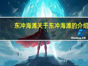 东冲海滩 关于东冲海滩的介绍