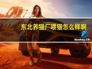 东北养猫厂喂猫怎么样啊