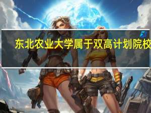 东北农业大学属于双高计划院校吗