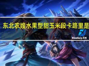 东北农嫂 水果型甜玉米段卡路里是多少