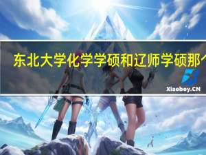 东北大学化学学硕和辽师学硕那个好