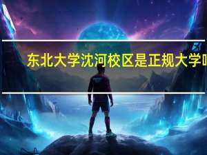 东北大学沈河校区是正规大学吗